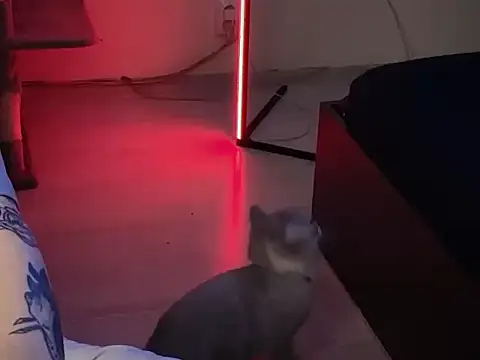 Snapshot of davesinner chatting on 03-01-26, 09:42 davesinner online show from 03-01-26, 09:42