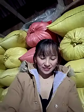 Mini3333 online show from 11-29-25, 01:22