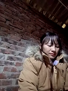 Mini3333 online show from 11-18-25, 04:49