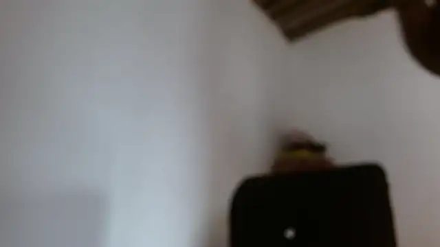 DaiishaWolf online show from 05-28-26, 07:42