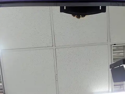 Aisha hotts777 online show from 03-20-26, 02:45