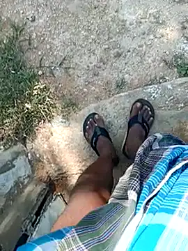 dolphiinn online show from 04-12-26, 10:40