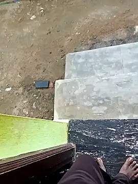 dolphiinn online show from 11-01-25, 12:50