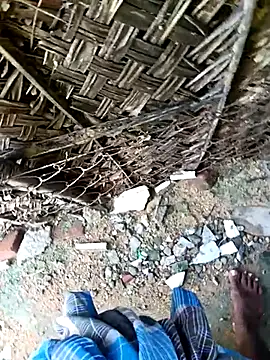 dolphiinn online show from 11-30-25, 04:35