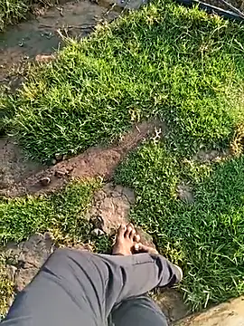 dolphiinn online show from 03-21-26, 01:40