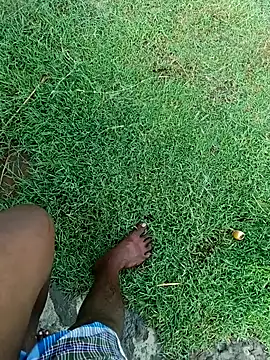 dolphiinn online show from 11-07-25, 02:27