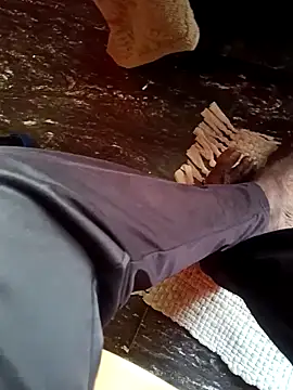 dolphiinn online show from 11-26-25, 02:11