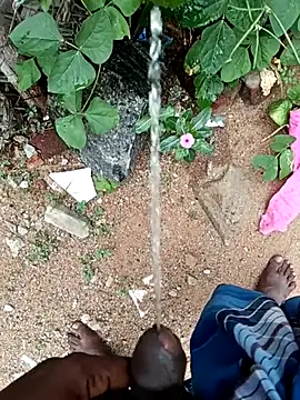 dolphiinn online show from 11-10-25, 06:51