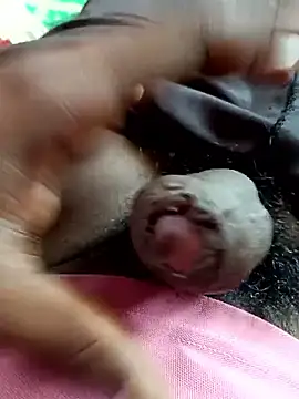 dolphiinn online show from 11-04-25, 05:33