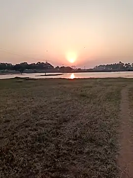 dolphiinn online show from 02-12-26, 01:27