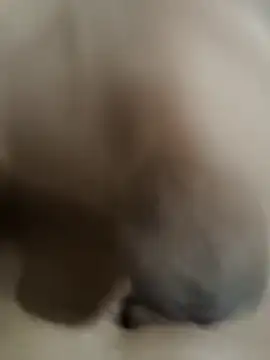 Snapshot of official_plsr5 chatting on 10-04-25, 12:39 official plsr5 online show from 10-04-25, 12:39