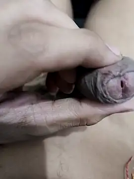 Snapshot of official_plsr5 chatting on 11-04-25, 11:03 official plsr5 online show from 11-04-25, 11:03