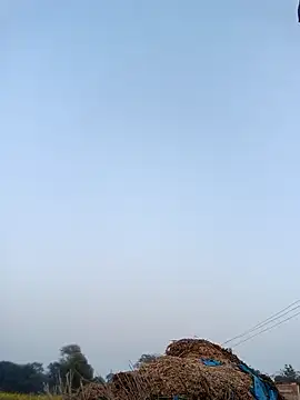 Pinky12A online show from 01-12-26, 11:39