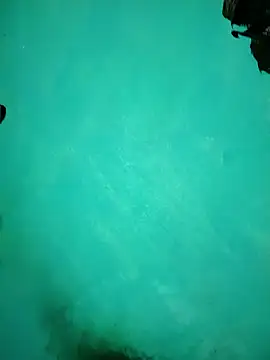 Arti13A online show from 01-17-26, 03:15