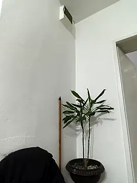 papichulo0099 online show from 02-15-26, 02:34