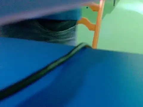 pau888kkkk online show from 09-30-25, 10:32