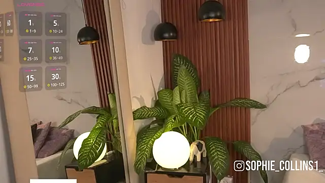 SophieCollins 1 online show from 04-10-26, 11:50