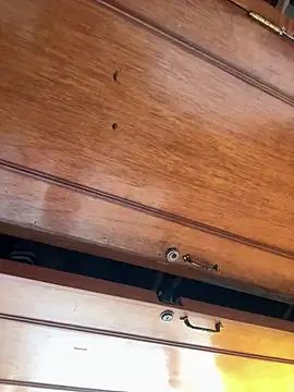 Victoria alson online show from 01-18-26, 04:32