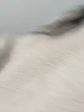 Victoria alson online show from 02-19-26, 01:30