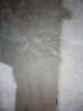 milo123-xx online show from 02-08-26, 02:48