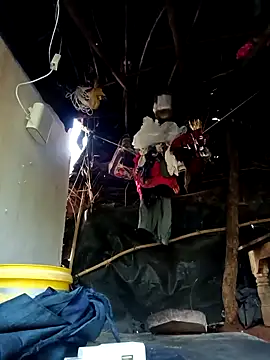 cute diya 12 online show from 11-01-25, 02:07