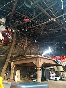 cute diya 12 online show from 11-18-25, 03:32