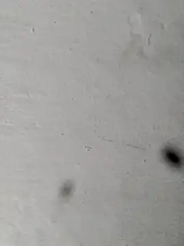 Mollysdick online show from 04-16-26, 01:45