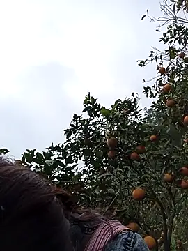  Helala  online show from 12-16-25, 05:33