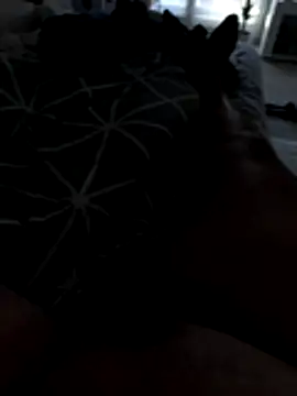 julienCr7 online show from 11-17-25, 02:54