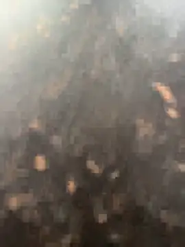 anjalibb online show from 10-27-25, 07:20