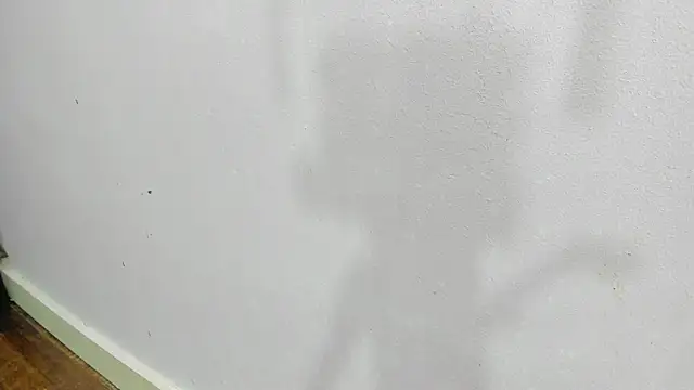 scarlett646 online show from 01-14-26, 03:10