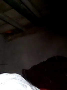 misa 00 online show from 02-24-26, 08:31