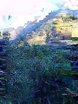 misa 00 online show from 11-29-25, 01:06