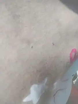 venu00 online show from 04-08-26, 02:13