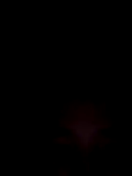 SweetSophie26 online show from 01-08-26, 04:40