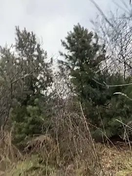 desiredude9 online show from 11-02-25, 09:58