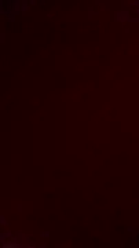 NewJoiner online show from 10-10-25, 05:47