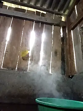 Ngocmi909 online show from 11-16-25, 12:15