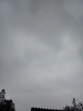 Ngocmi909 online show from 01-11-26, 12:50