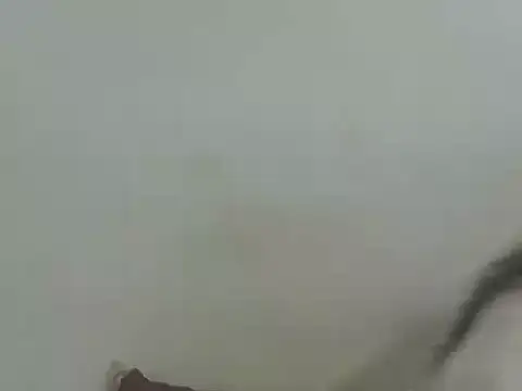 Vaani Singha online show from 03-12-26, 04:44