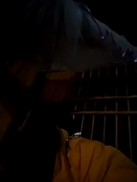 miss-su online show from 12-01-25, 05:25