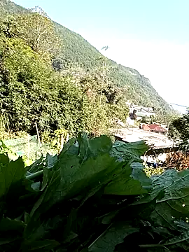 Snapshot of Maymay0033 chatting on 11-29-25, 05:07 Maymay0033 online show from 11-29-25, 05:07