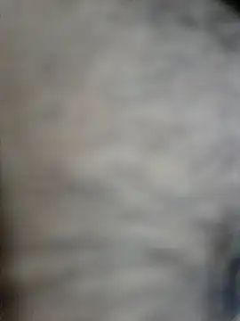 Snapshot of SHIFT1234 chatting on 10-02-25, 04:32 SHIFT1234 online show from 10-02-25, 04:32
