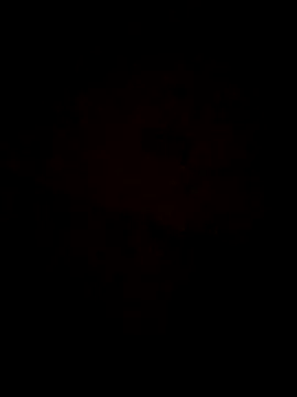 Jann Riya333 online show from 02-01-26, 01:26