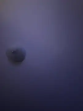 Troydaddy578 online show from 04-01-26, 04:25