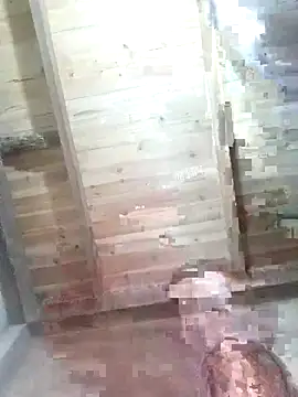 Fienjr online show from 02-12-26, 01:38