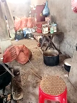 rubi bae online show from 02-24-26, 04:02