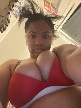 StylishEchium online show from 11-24-25, 08:53