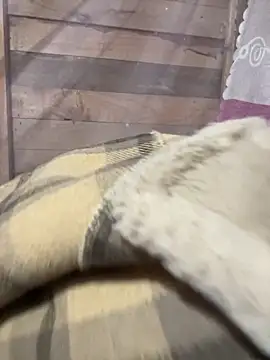 Binjt online show from 12-04-25, 11:48