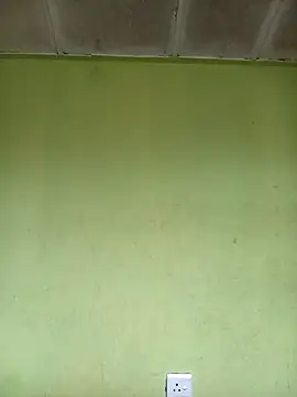 phumlanisanka online show from 11-06-25, 06:28